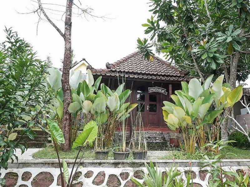 Hotel Kebon Krapyak Syariah Mitra Reddoorz Near Stadion Maguwoharjo Ngemplak (East Java)