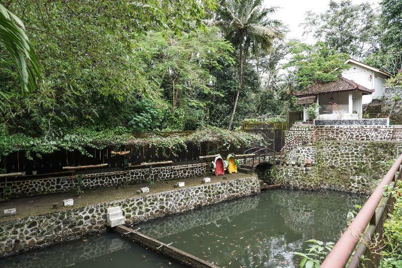 Kebon Krapyak Syariah Mitra Reddoorz Near Stadion Maguwoharjo Hotel